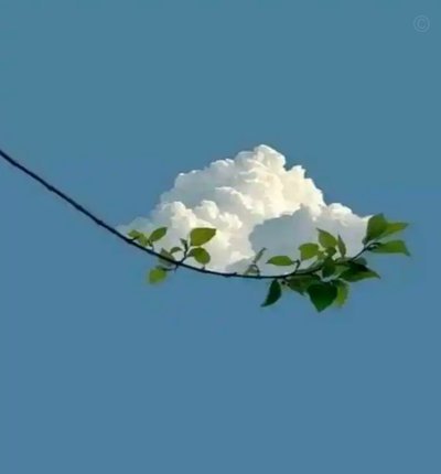 一张引人深思的视觉迷宫