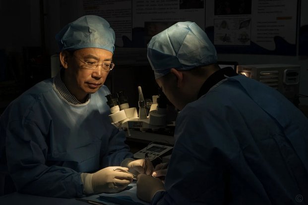 拜仁官方：穆西亚拉接受小型手术，属此前重伤正常医疗流程