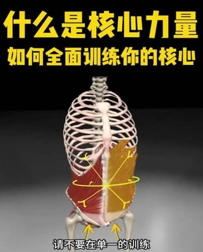 袁博涵应该立刻马上开始大运动量力量训练