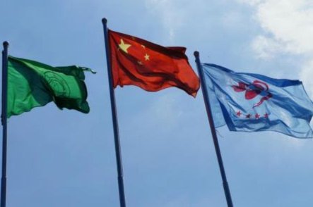 中国足球小将球迷每天都有所期待